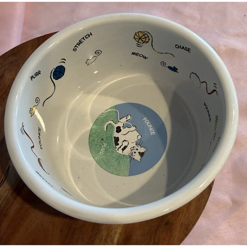 Cutie Cat Pet Water Food Bowl by Riviera Van Beers Signature Stoneware Rainbow